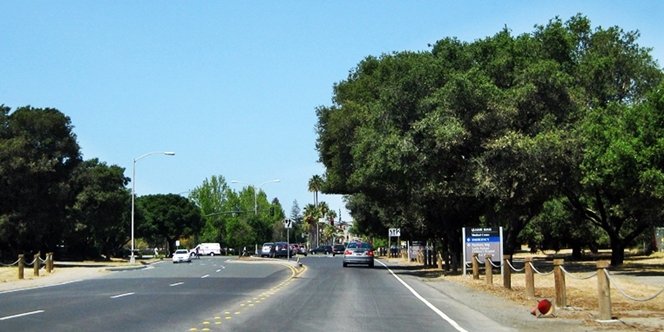 CLICK to continue: Arboretum