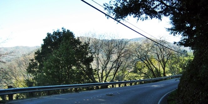 CLICK to continue: Bearcreek Road