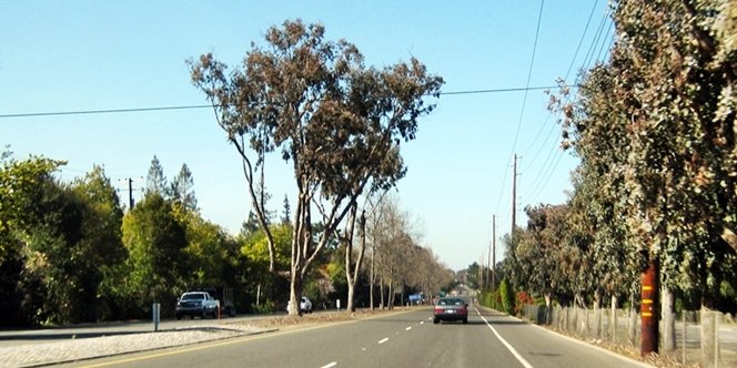 CLICK to continue: Foothill Expressway