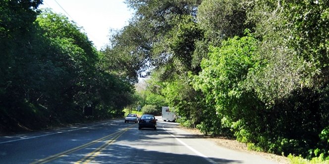 CLICK to continue: Junipero Serra Road