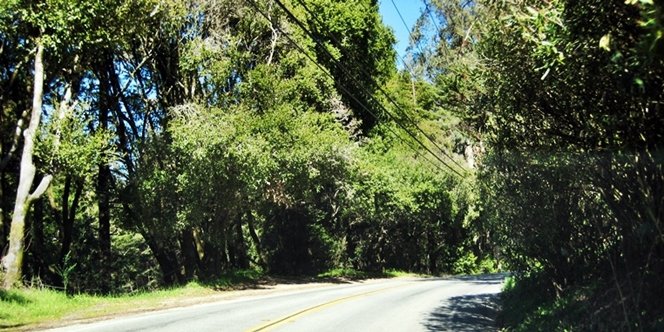 CLICK to continue: Glen Canyon Road