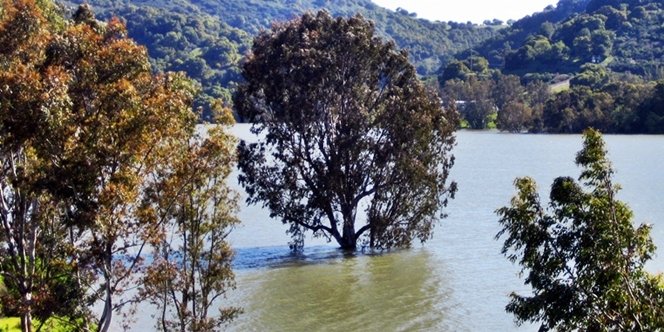 CLICK to continue: Lexington reservoir looking very full