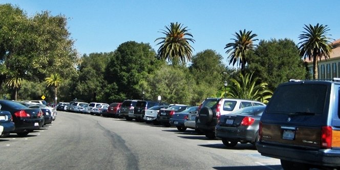 CLICK to continue: Palm Drive